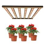 Detachable Knob Dimming 480w Horticulture LED Grow Lights