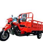 200CC/250CC/300CC Cargo Tricycle with Hydraulic Power and Spring Motorized