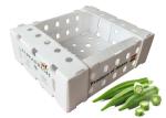11lbs Fresh Okra PP Corrugated Plastic Packaging
