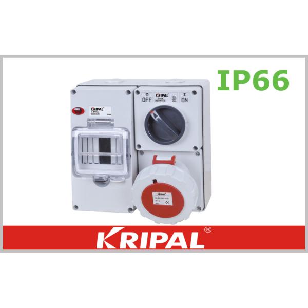 China Customized Weatherproof Industrial Outlets Reefer Container Socket 500V factory