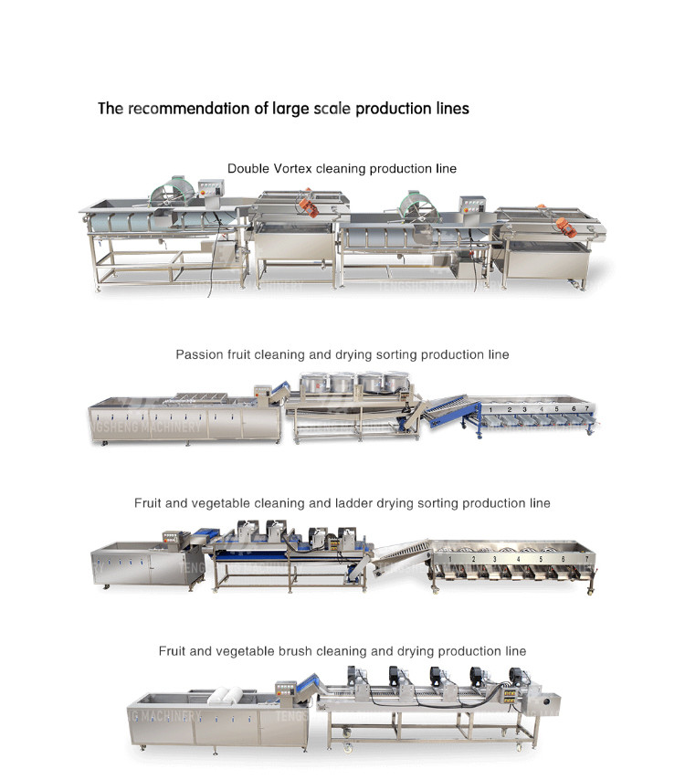2.6KW Vegetable cleaning processing equipment, cleaning line, multi-functional ozone vegetable washing machine