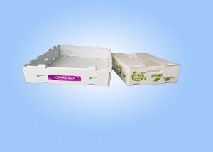 China Recyclable Corrugated Plastic Storage Boxes Corflute Storage Boxes factory