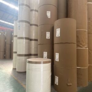 China 190/210 GSM Single PE Coated Cup Paper Roll for Coffee Cup Recycled Raw Material Eco friendly on sale