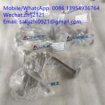 sdlg Exhaust valve 4110000054215 for Weichai Deutz TD226B WP6G125E22, weichai