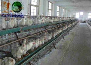 China Cooling Pad Machin For Poultry House,Buy Quality factory