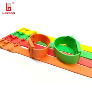 China Cattle Calf Horse Bovine Use Leg Tag Leg Band For Disease Identification factory