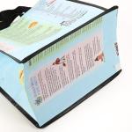 Promotional Heavy Duty Printing Laminated PP Woven Shopping Bag