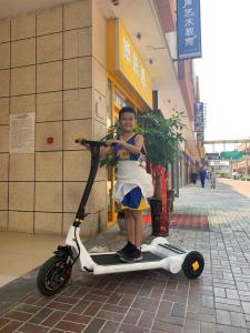 China Folding 30KG Running Belt Electric E Scooter factory