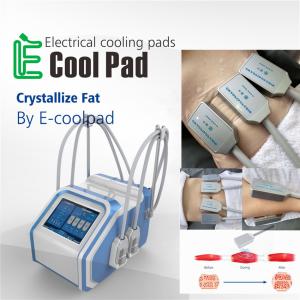 China Home EMS Cryolipolysis Fat Freezing Machine For Cellulite Reduction factory