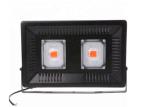 Greenhouse 100w Plant Led Growth Light Fixture , Full Spectrum Cob Grow Light