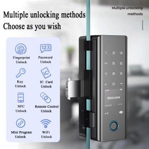 China Digital Doorlock G9S Tuya Wifi Sliding Glass Door Lock factory