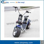 disk brake Fat tire Adult citycoco electric scooter skateboard