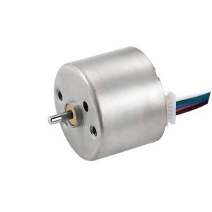 China 12V 24mm Brushless DC Motor BLDC Motor For Hair Curler And Medical Equipment factory