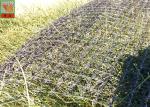 Black Color Erosion Control Net For Three Dimensional Erosion Blanket 250g / Sqm