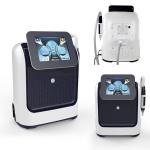 Portable 532 755 1064 1320 nm Picosecond Pico Q Switched Nd: Yag Laser Tattoo