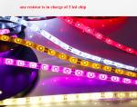0.5W RGB Digital Rgb Led Strip , Waterproof Flexible Lights DC12V SMD 5050 IP20