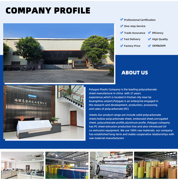 UV Coated Polycarbonate Sun Protection Sheet for House