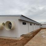 Livestock 54 Fiberglass Exhaust Fan For Poultry House Ventilation Fan