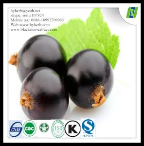 China Food Grade Organic Black Currant Powder factory