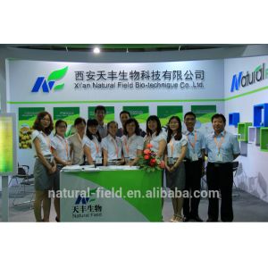 High Quanlity soybean extract Phosphatidylserine PS