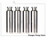 Gardner Denver TEE Drilling Rig Mud Pump Parts Fluid End Plunger