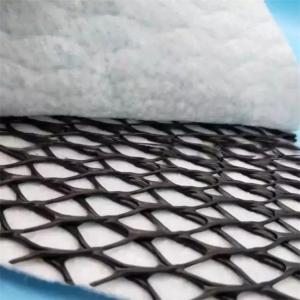 China 3d Composite Geonet for Drainage in Landfill Roadbed Slope Protection and Efficiency factory