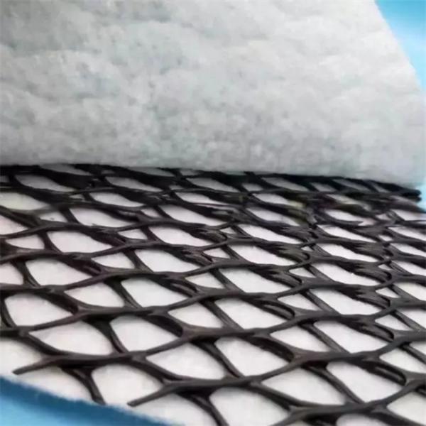 3d Composite Geonet for Drainage in Landfill Roadbed Slope Protection and
