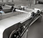 Low Noise Commercial Food Processing Equipment , Ginger Processing Machine Power