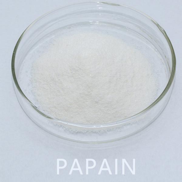 300USP-6000USP Liquid Papaya Enzyme Papain Powder Customized providing enzyme