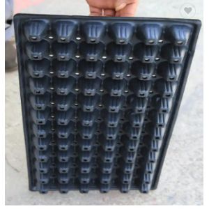 Plastic Seedling Tray Automatic Vacuum Forming Machine 380v