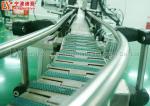 Plate Belt Chain Conveyor Systems For Food / Electrical / Appliance