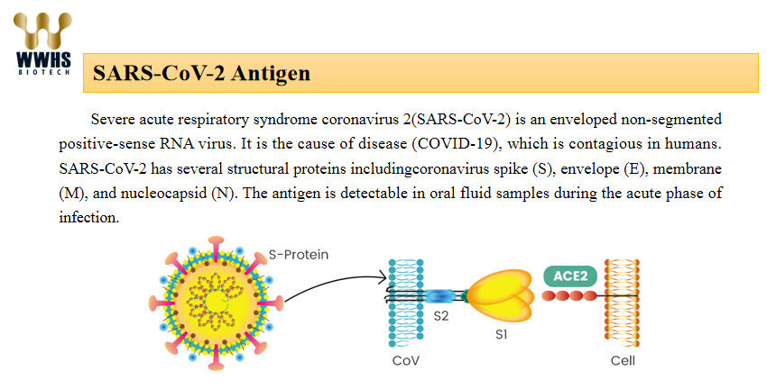 SARS Flu 19 Rapid Self test Kit CoV-19 New Nucleic Acid Extraction For Vitro Diagnostic Test