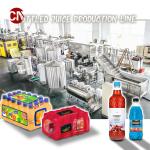 Sterilization Equipment for Automatic Commercial Apple Juice Production Line