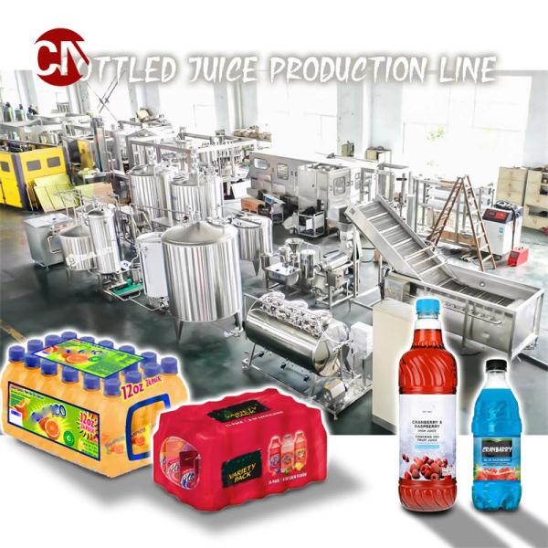 Customized Optional Mango Juice Filling Machines Complete Line with 1000lph