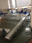 Stainless Steel Belt Conveyor for Candy