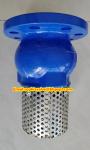 PN10 or PN16 cast iron flanged foot valve Supplier