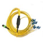 12 Core MPO MTP TO 12 LC Duplex patch cord