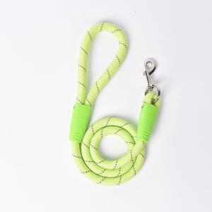 China Nylon Easy Walk Dog Leash PSM Dog Traction Rope For Small Teddy factory