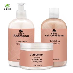 China Natural Sulphate Free Argan Oil Shampoo Private Label Hair Care Set factory