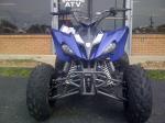 Air Cooled Single Cylinder 2.38 Gal 250cc Racing Atv