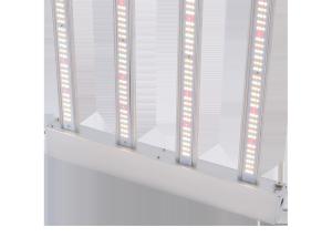 China Aluminum 150lm/W IP65 400 Watt LED Grow Lights factory