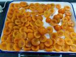 Net Weight 15oz Canned Apricot Halves with 22g Total Carbohydrate