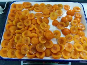 China Net Weight 15oz Canned Apricot Halves with 22g Total Carbohydrate factory