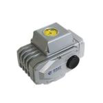 Flange Connection Intelligent Electric Actuator AC220V IP67 Cnas Passed Electric