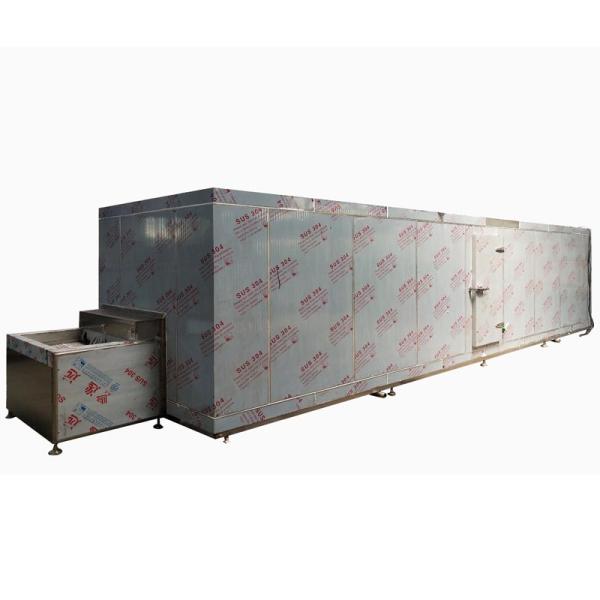 China High Accuracy Blast Freezer Food Individual Quick Freezer 100kg/H factory