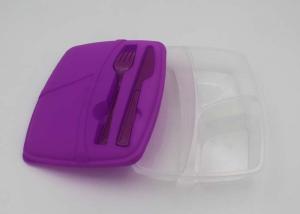 China Convenient And Safety Hard Plastic Lunch Boxes With Compartments OEM factory