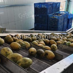 Industrial Dried Fruit Processing Line for Mango Apple Slices
