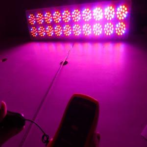 China 900w hig power led grow light panel led grow lighting Full Spectrum Led Grow Lights factory