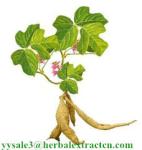 Kudzu Root extract, Isoflavones 40%, CAS No.: 3681-99-0, Auxiliary lower blood
