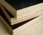 Construction used cheap marine plywood price / 18mm marine plywood